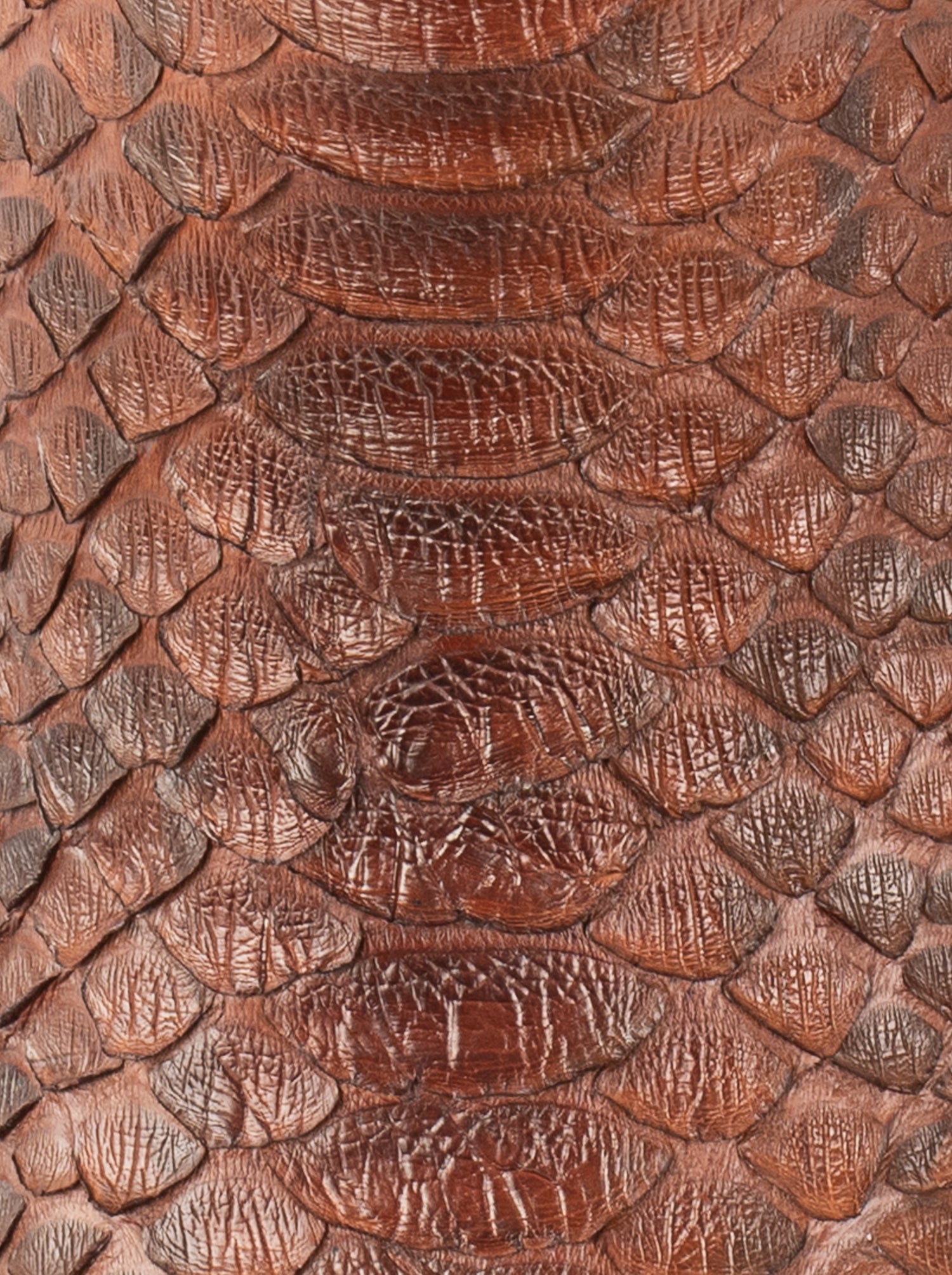 Bota Vaquera con Suela de Cuero en Piel Genuina de Pitón Caramel Estilo 1055